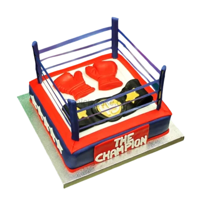 Ring Boxeo