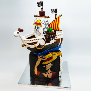 Barco One piece